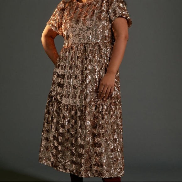 XL Anthropologie Maeve Bernadette Sequined Midi Dress - Picture 3 of 7